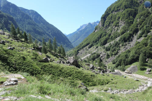 Swiss_Trek_63